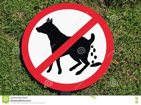 No Dog Poop Sign Stock Illustration Illustration Of Poop 14222107