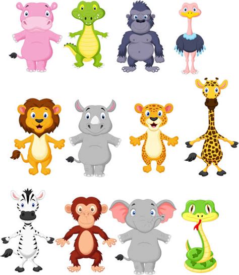 Cute Wild Safari Animal Set Illustrations Royalty Free Vector Graphics