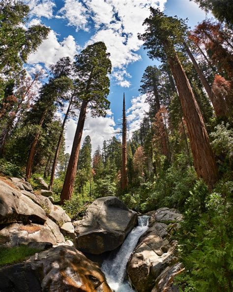 Quick Trip Guide To Sequoia National Park Love Loathing Los Angeles