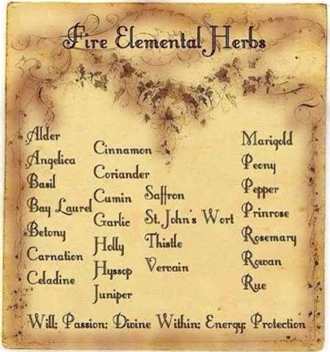 Elemental Herbs Magic Herbs Magickal Herbs Witch Herbs