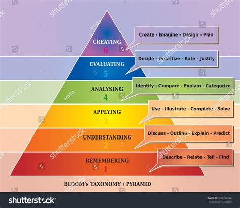 Blooms Pyramid Taxonomy Educational Tool Diagram Stock Vector