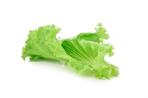 Premium Photo Lettuce Leaves On White Wall