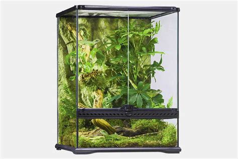 This terrarium is ready for your baby bearded dragon to survive, but it is not really complete. 30 DIY Bearded Dragon Terrarium Ideas That Are Absolutely Stunning | ExoPetGuides