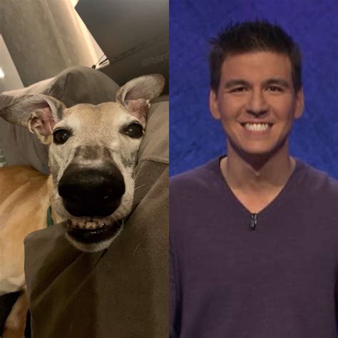 My Dog Has The Same Smile As James Holzhauer Rjeopardy