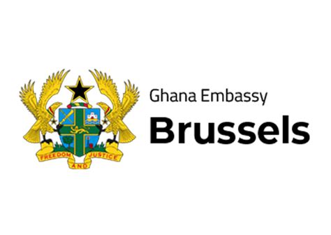 Ghana Embassy In Belgium Unveils Business Webinar Series Dailyguide