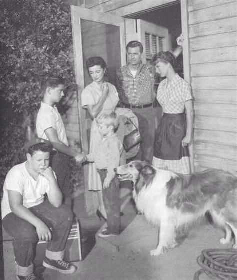 Pin On Lassie History Classic Faithful Tv Shows