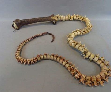 A Whip Made From Two Real Human Spines Discovered In The Basement Of An