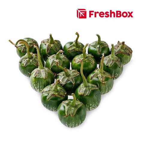 Promo Freshbox Terong Bulat Hijau Sayuran Kg Diskon Di Seller Freshbox Official Store