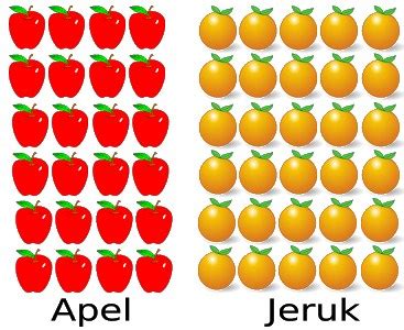 Media yang biasa digunakan yaitu buah, terutama yang berbentuk bulat serta memiliki tekstur yang lunak. 9000+ Gambar Buah Apel Satu Biji HD Gratis - Gambar ID