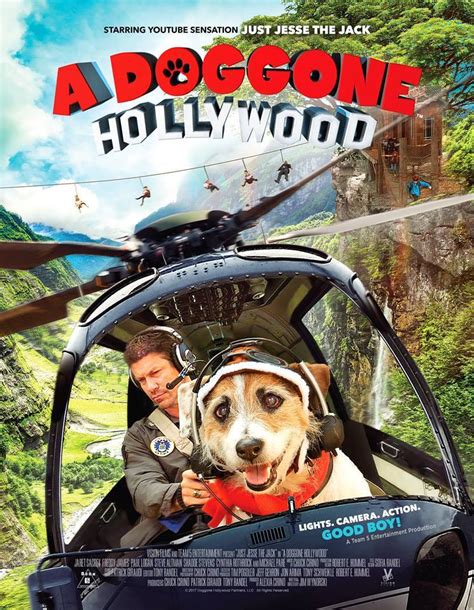 Di release pada tahun 2017 atau lebih tepatnya pada tanggal 10 december 2017 yang di sutradarai oleh seth larney dengan total. A Doggone Hollywood (2017) Full Movie Watch Online Free ...