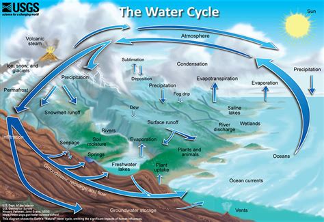 A logo for bitcoin, the first decentralized cryptocurrency. The water cycle is not just about H20: How a grade-school ...