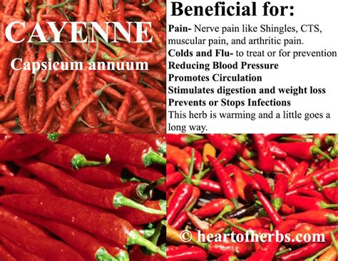 Learn About The Benefits Of Cayenne Peppers Reducing Blood Pressure