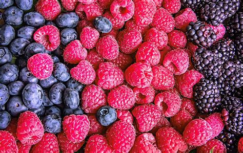 Frutas Vermelhas Conheça Os Benefícios E Saiba Quais São As Principais
