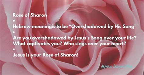 Rose Of Sharon • Rose From The Hebrew Root ‘habab Means ‘overshadowed