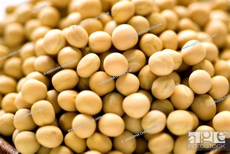White Peas Dried Round Many Vegetable Stock Photo Picture And Royalty