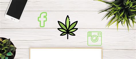 Cannabis Social Media Marketing