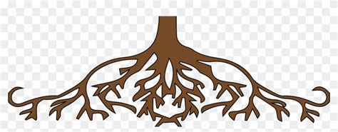 Animated Tree Roots Parts Of The Tree Roots Free Transparent Png