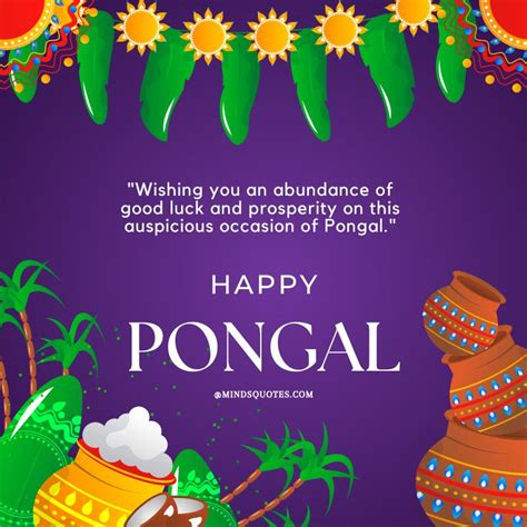 50 Happy Pongal Festival Quotes Wishes Messages Greetings