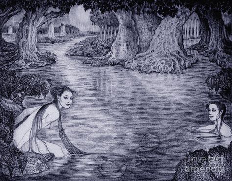 The Water Nymphs Drawing By Debra A Hitchcock