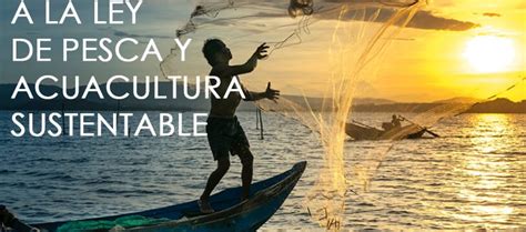 Reforma A La Ley De Pesca Y Acuacultura Sustentable Knr Abogados