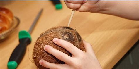 how to open coconut at home correctly quickly and easily video