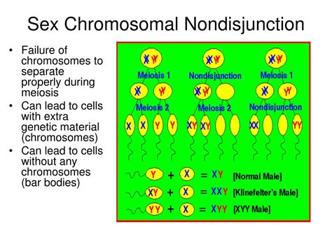 Ppt Chromosomal Mutations And Nondisjunctions Powerpoint Presentation Id 4611142