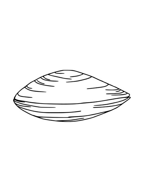 Clam Coloring Page Free Printable