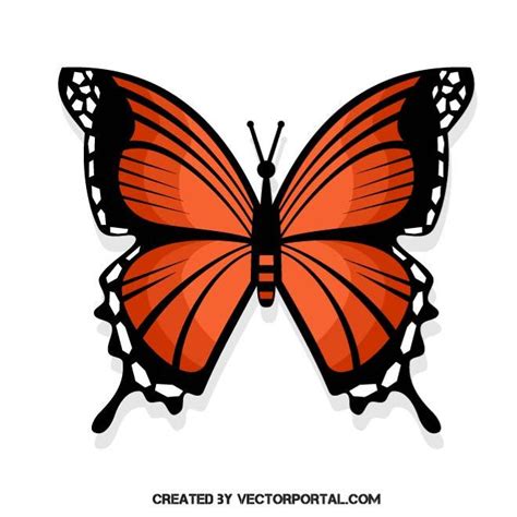 Colorful Butterfly Royalty Free Stock Svg Vector And Clip Art