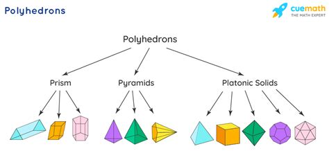 Any Polyhedron Can Be The Base Of A Pyramid