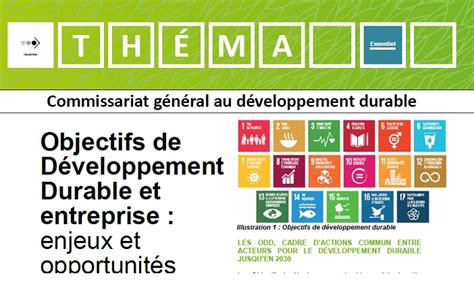 Objectifs De Développement Durable Et Entreprise Enjeux Et