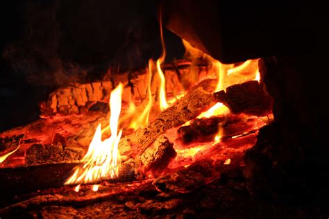 3107671 Ash Bonfire Burning Burnt Campfire Close Up Fire