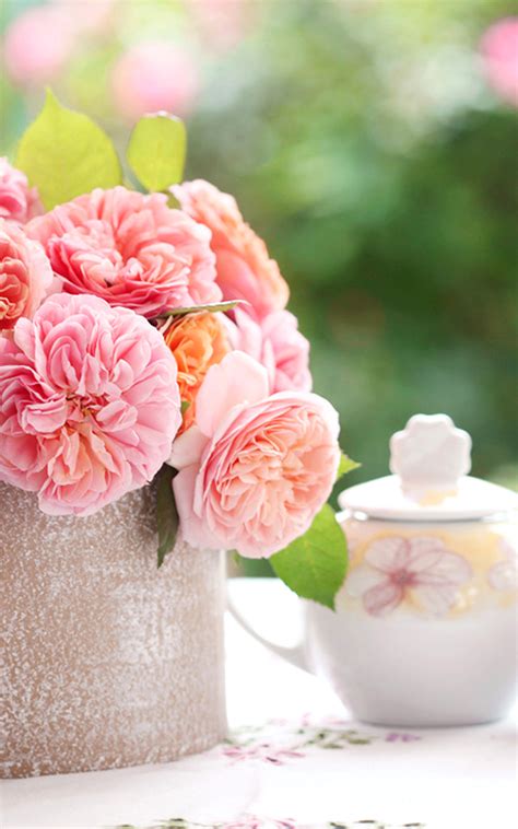 Free Download Morning Teapot Pink Rose Blurring Flower Bokeh Hd