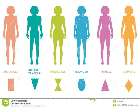 Different cultures and subcultures see different body types as ideal. Female Silhouette Women Body Shapes | Female body types anatomy,woman front figure shape, vector ...