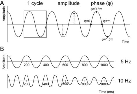 A Oscillations Are Characterized By Their Frequency The Number Of