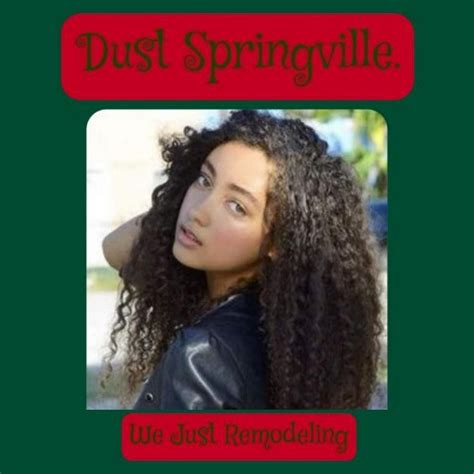 Dust Springville Springville Dust Remodel