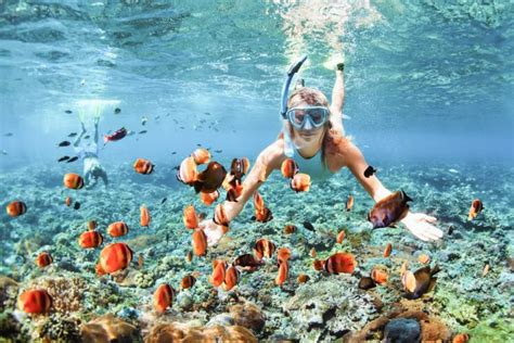 October 2019 Hanauma Bay Snorkel Adventures