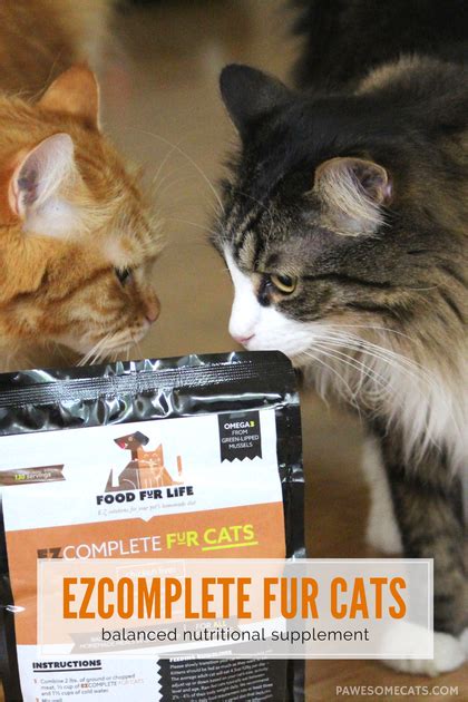 Raw bacon and uncooked bacon are two different things. Raw Cat Food Supplement - EZComplete Fur Cats | Raw cat ...
