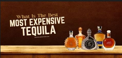 The Most Expensive Tequila In The World Trendske