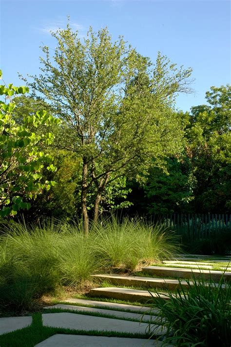 White Rock Garden Paths Garden Design Landscape