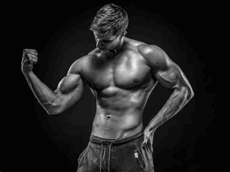 The Ultimate V Taper Workout For An Aesthetic Body Noob Gains