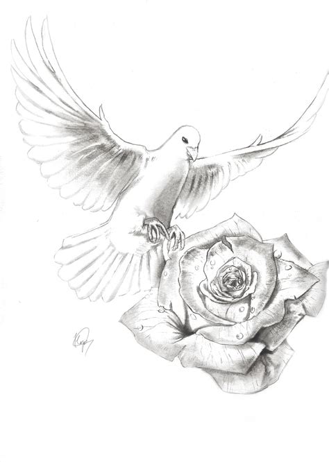 Simple Dove Drawing At Explore Collection Of
