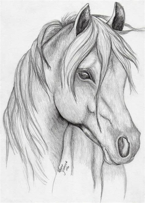 Horse Sketch Desenhos De Animais Realistas Esboços Fáceis Para