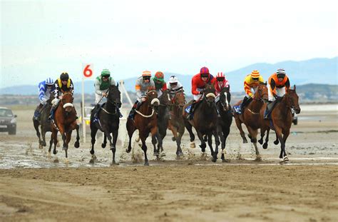 Laytown Beach Races Three Tips And 13 Things You May Not Know