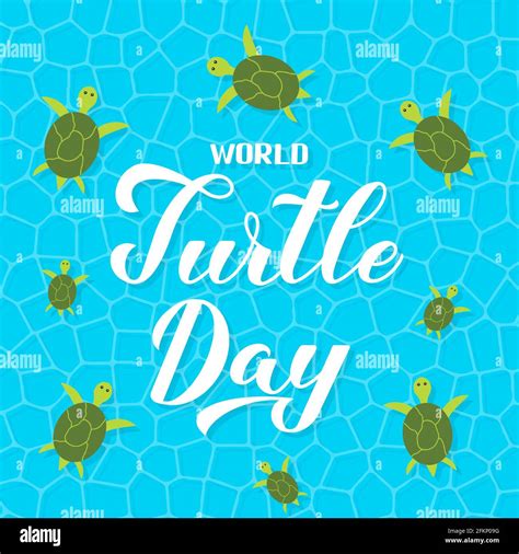 World Turtle Day Calligraphy Hand Lettering With Swimming Turtles On