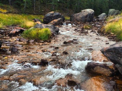 Bear Creek Colorado The Catch And The Hatch