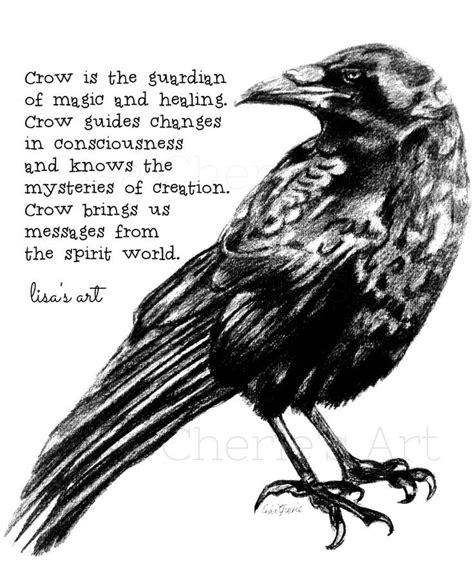 Pin By Ramin On Dracula Crow Spirit Animal Crow Totem Crow