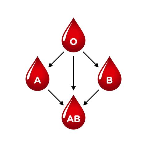 Premium Vector Blood Types Diagram Blood Transfusion Blood Group A B