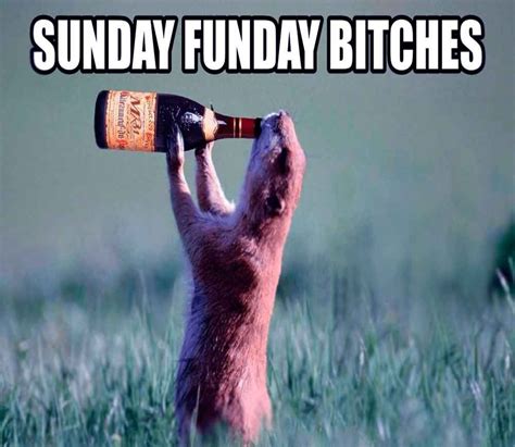 Sunday Funday In 2021 Morning Quotes Funny Happy Sunday Quotes