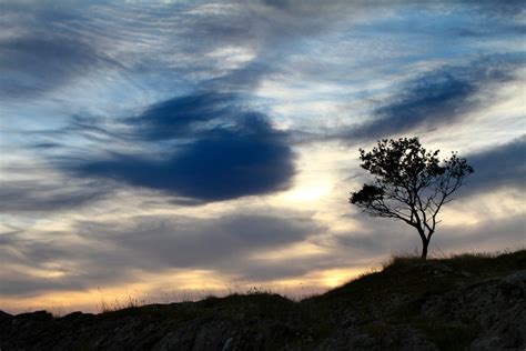Gambar Pemandangan Pohon Alam Rumput Horison Gunung Awan