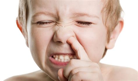 Is Eating Your Boogers Good For You Gizmodo Australia